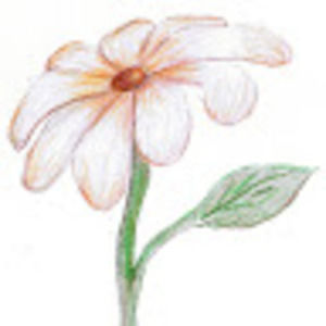 Meet your Posher, Dorothy